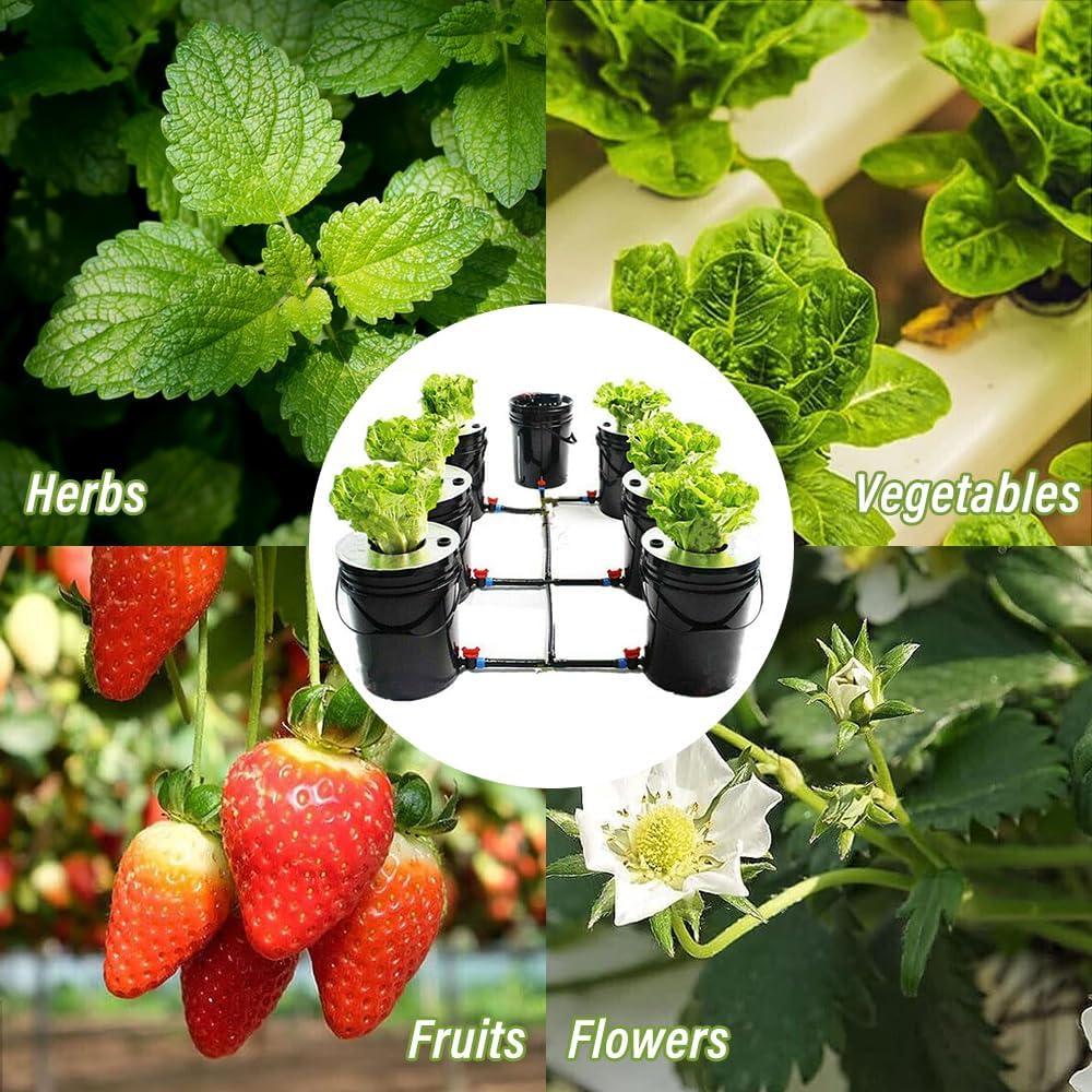 7 Bucket 5 Gallon Hydroponic Growing Kit with Pump W57950