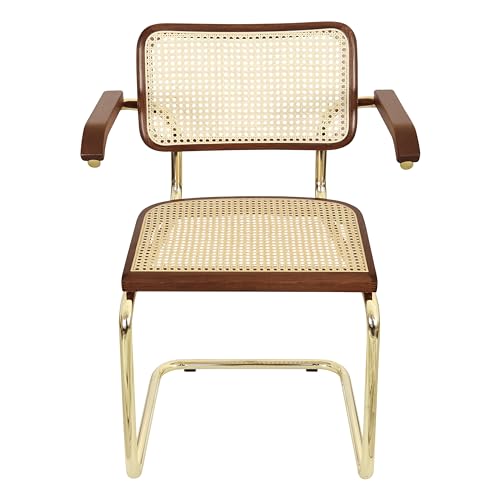 Black Cane Cantilever Armchair with Brass Steel Frame H74794