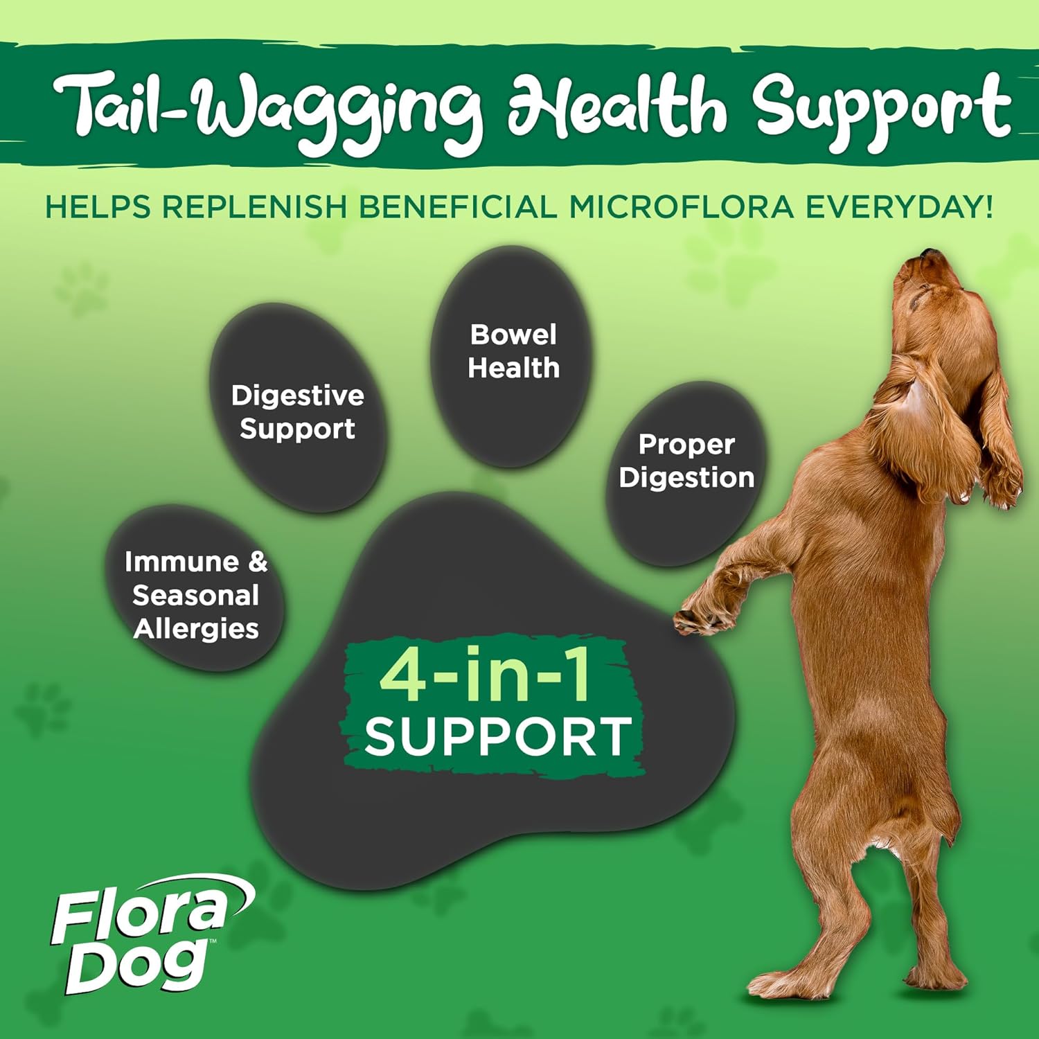 30 Beef Flavored Probiotic Chewable Tablets for Dogs F213