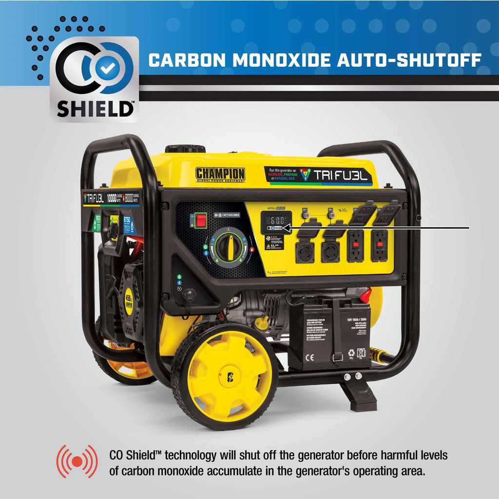 8000-Watts Tri-Fuel Portable Natural Gas Generator with Electric Start P436