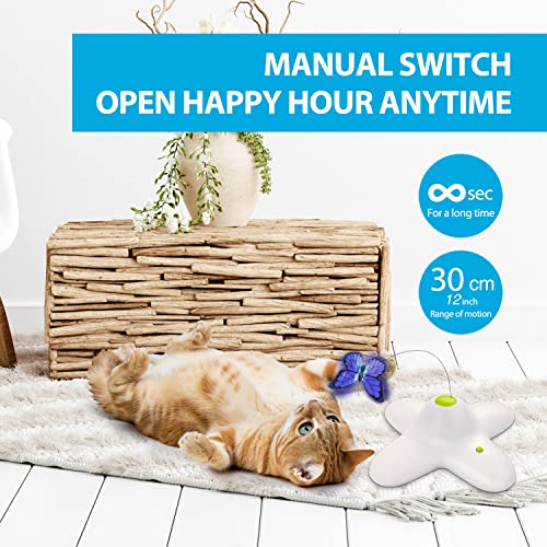 2 in 1 Cat Wand Toy with Butterfly Spinner, USB Rechargeable C767