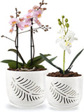 6+5 inch Ceramic Orchid Pots with Holes, 2 Pack K4081