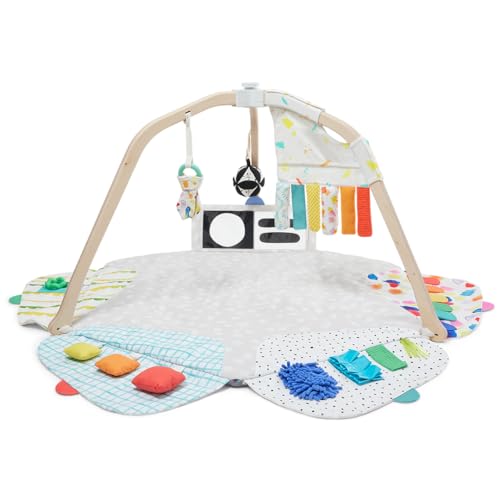 Stage-Based Developmental Activity Gym & Play Mat R992792