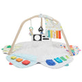 Stage-Based Developmental Activity Gym & Play Mat R992792
