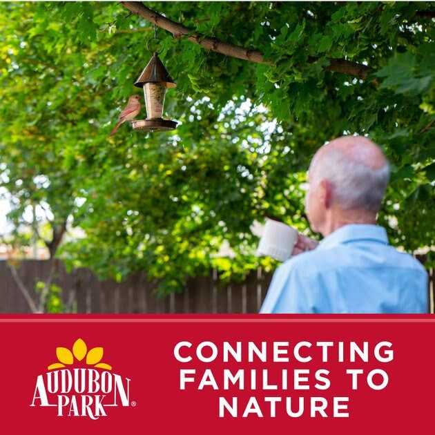 Cardinal Blend Wild Bird Food L18006