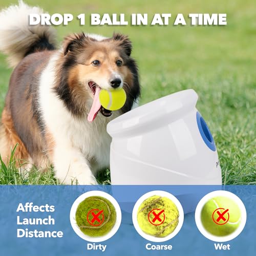 6pcs Tennis Balls (2.5'') Automatic Ball Launcher for Large Dogs M683144
