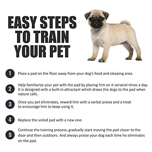 XXL Leak-Proof 30"x36" 40CT Dog Pee Pads N431
