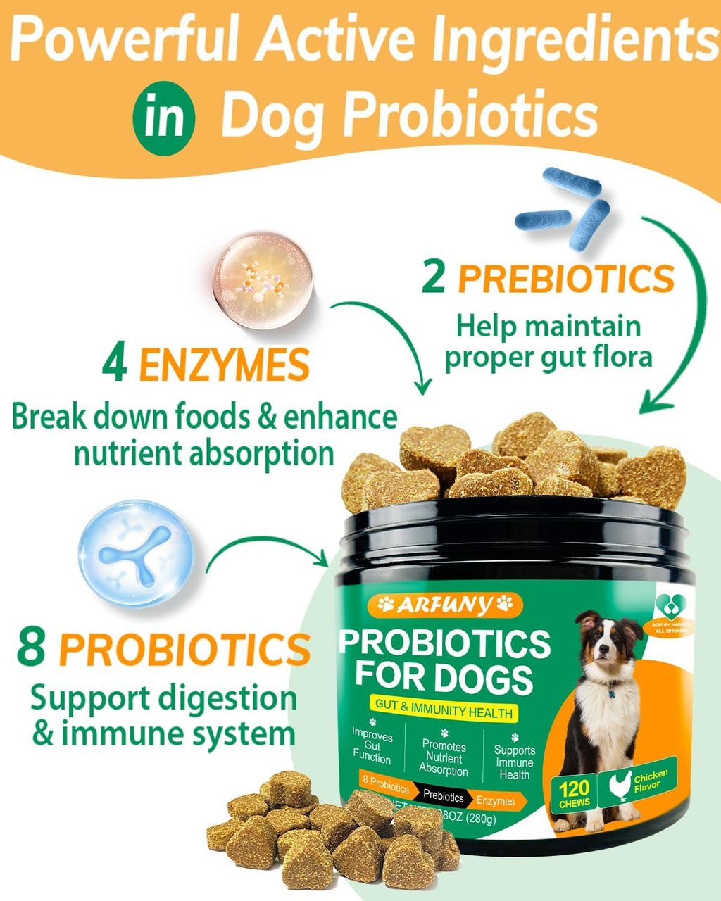 Chicken Flavor Probiotics Chews for Dogs with Prebiotic & Digestive Enzymes (120 Chews) O4722