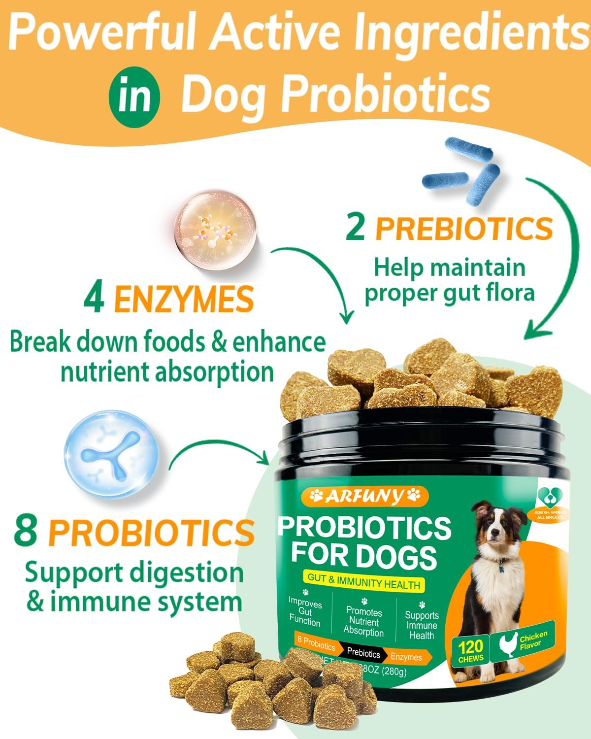 Chicken Flavor Probiotics Chews for Dogs with Prebiotic & Digestive Enzymes (120 Chews) O4722
