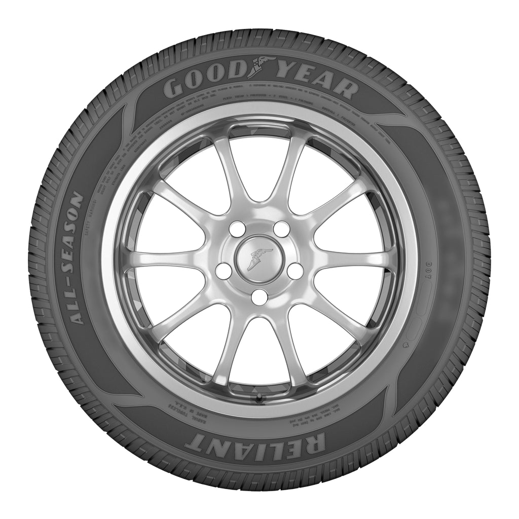 225/60R18 100V All-Season Tire W4419