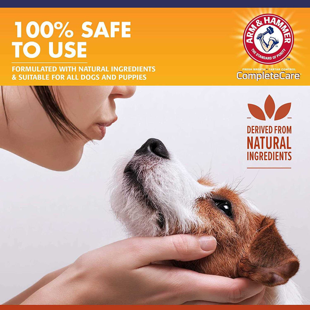 Mint Flavor Dog Dental Spray U4044