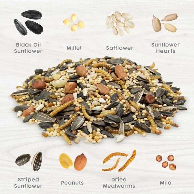 Mealworm Medley Wild Bird Food Blend K70455