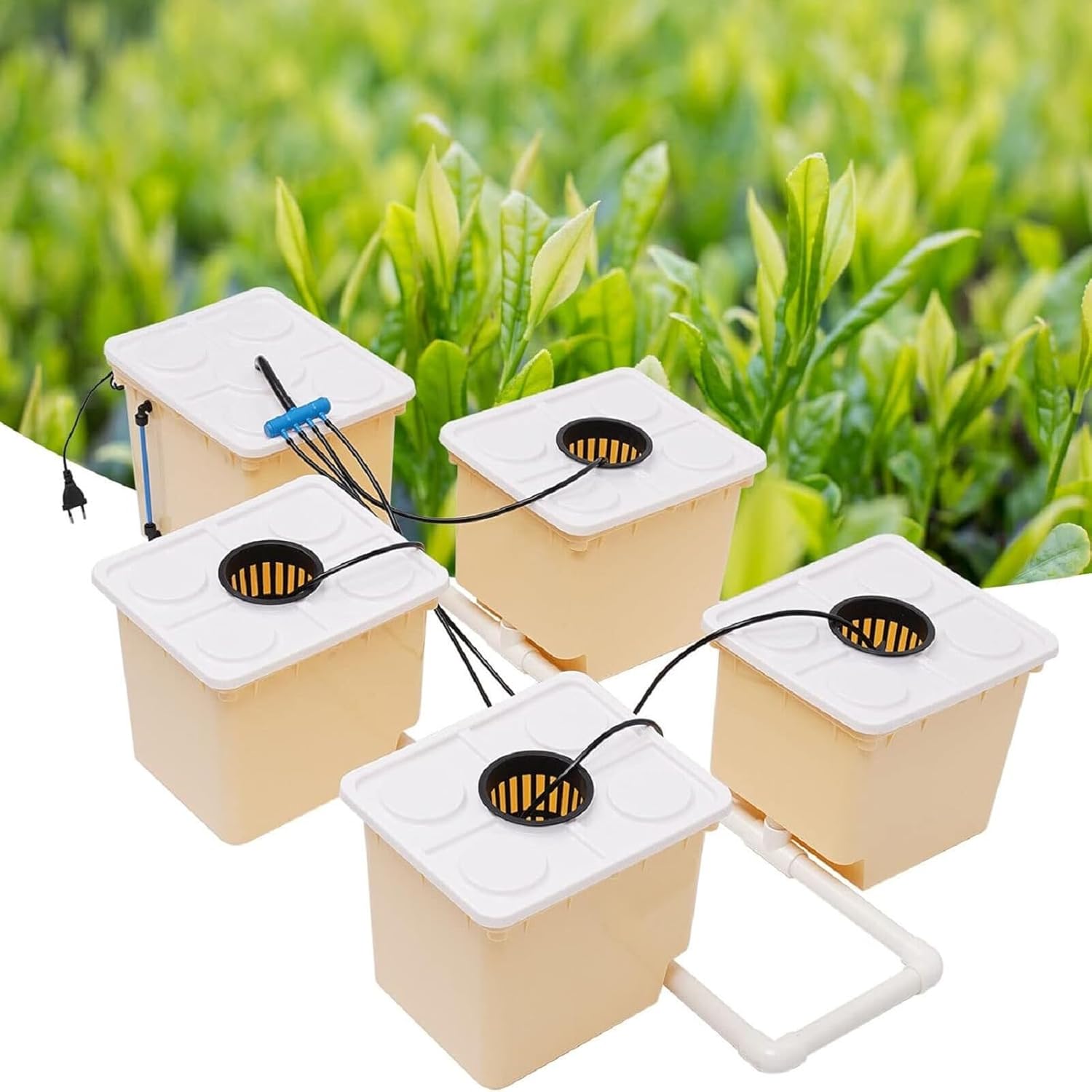 2.91 Gallon Deep Water Culture Hydroponic System with 5 Sites Dutch Buckets F9477