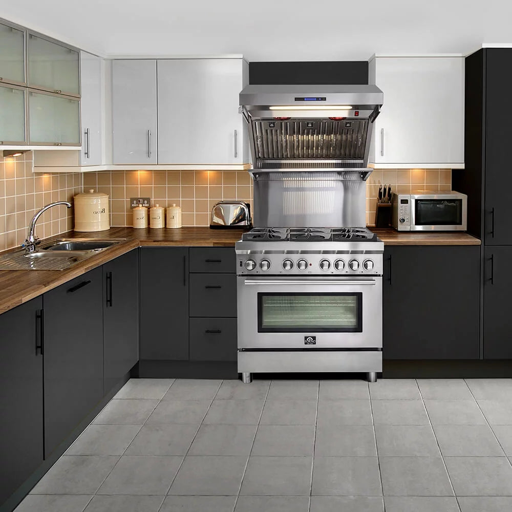 36 inch Stainless Dual Fuel Electric Gas Range C4895