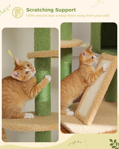 Brown Mushroom Cat Tree Adjustable Height with Cat Condo Hammock Scratching Post R6813
