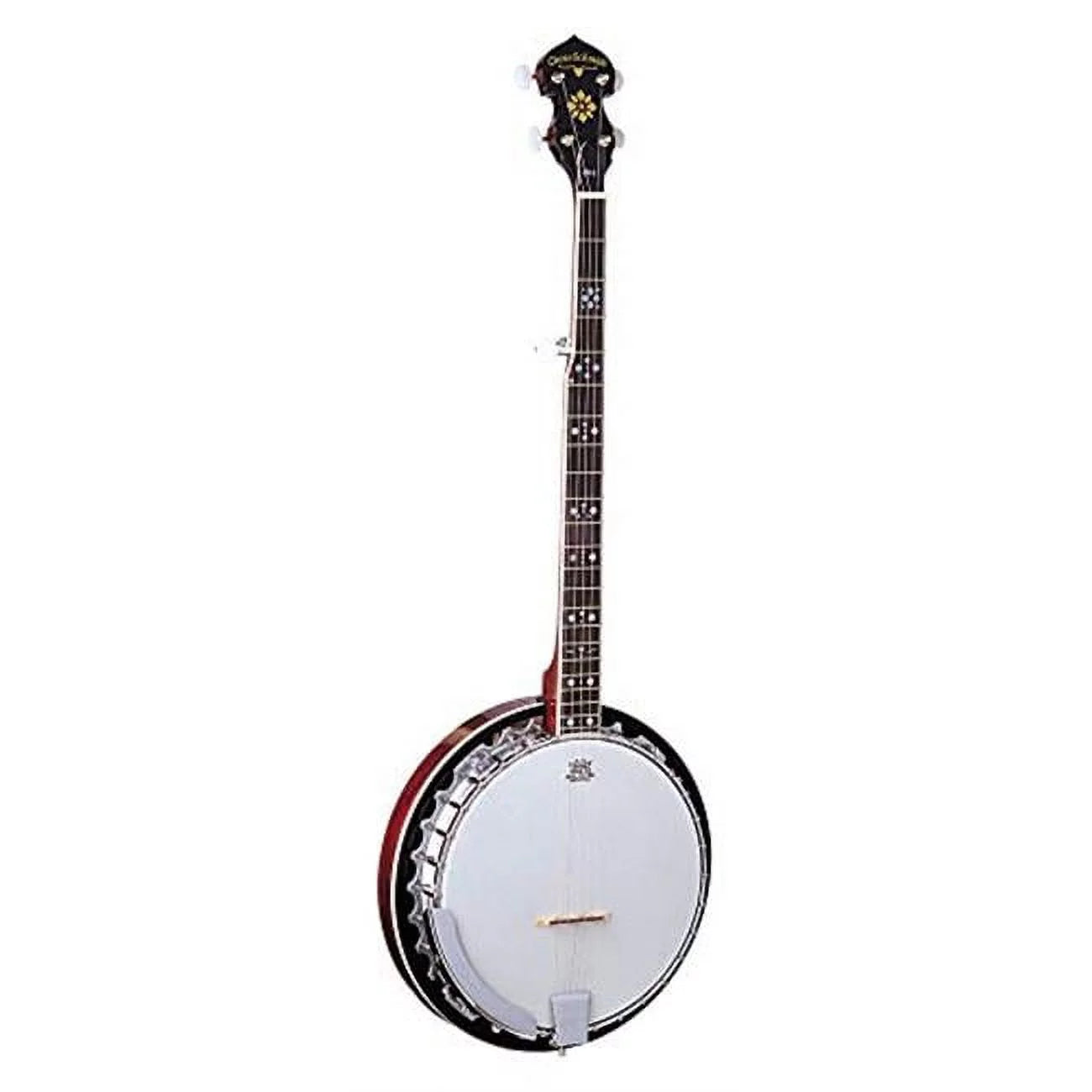 5-String Electric Banjo S34968