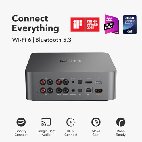 3.5" Touchscreen Music Streamer & Digital Preamp, Space Gray T1618