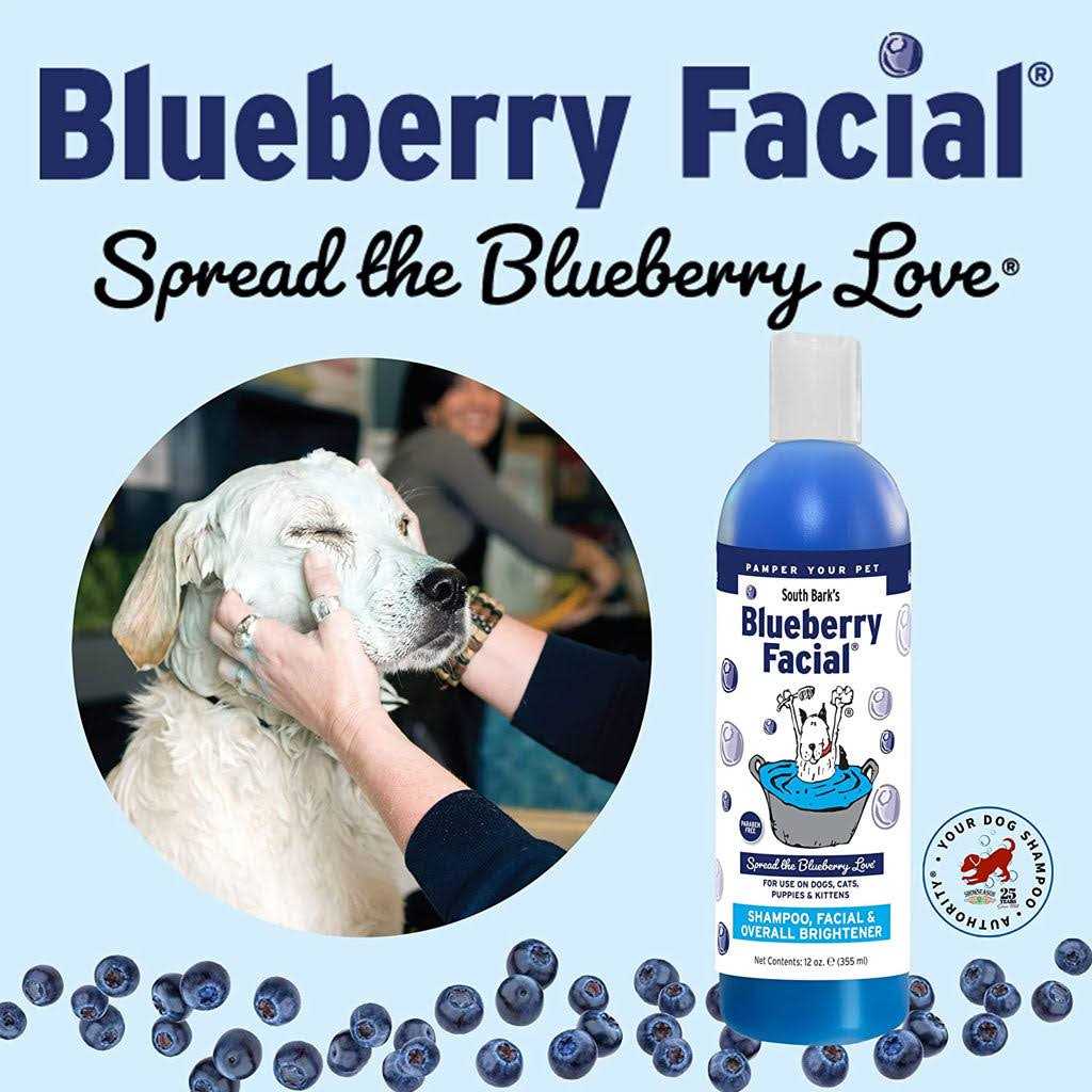 Blueberry Facial E985906