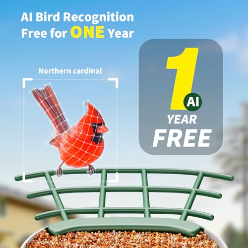 Bird Feeder with Camera, Solar Panel T974675