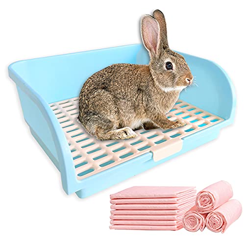 Large Rabbit Litter Box D7409