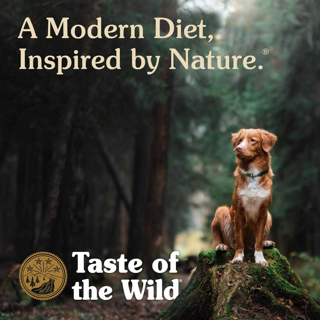 Ancient Stream with Smoked Salmon Dog Food U117637