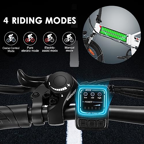 20" 500W Folding Electric Bike with Removable 48V 374.4Wh Battery M6252