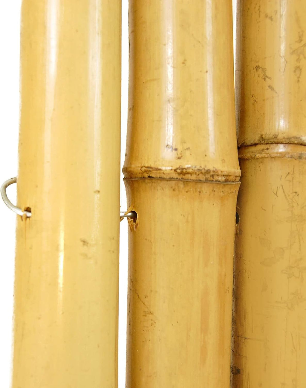Natural Bamboo Fencing Rolled Fence Panel 0.75 in D x 6 ft H x 8 ft L Y5865