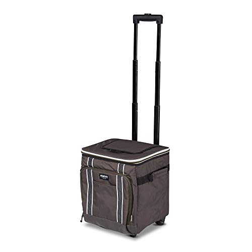 Large Portable Insulated Soft Coolers with Rolling Wheels L789492