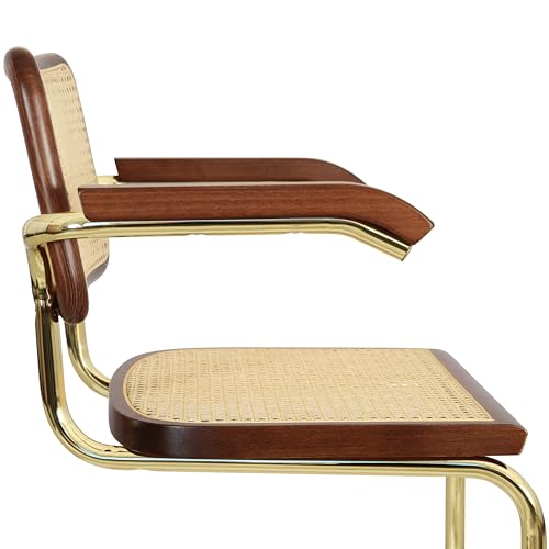 Black Cane Cantilever Armchair with Brass Steel Frame H74794