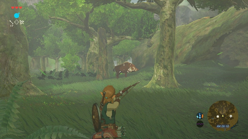 Legend of Zelda: Breath of the Wild Nintendo Switch Game C331320