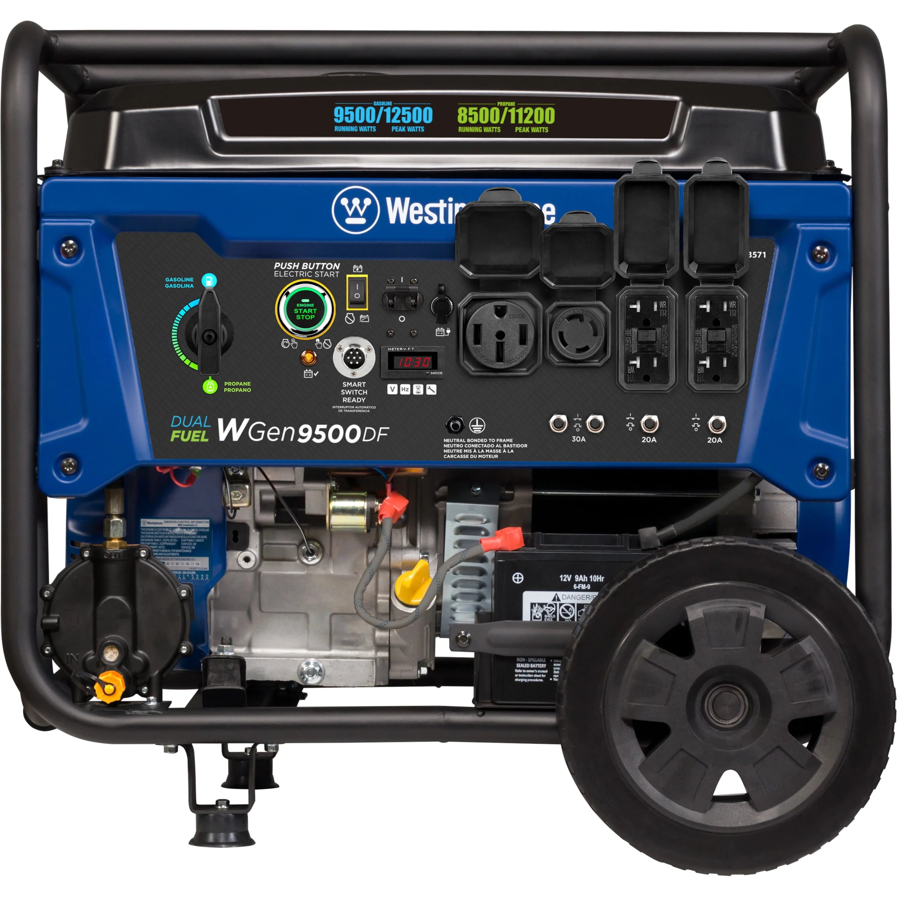 12,500 Peak Watt Dual Fuel Portable Generator with Electric Start F213