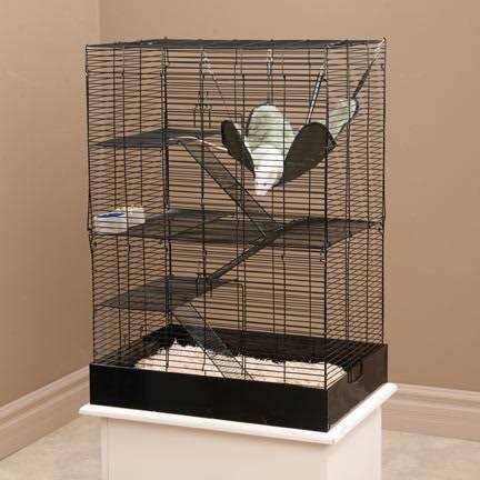 Rat Manor Habitat 16.5 L X 22.5 W X 32 H M513832