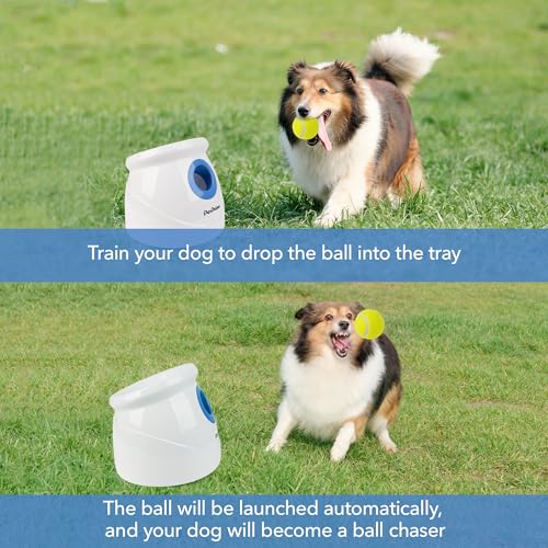 6pcs Tennis Balls (2.5'') Automatic Ball Launcher for Large Dogs M683144