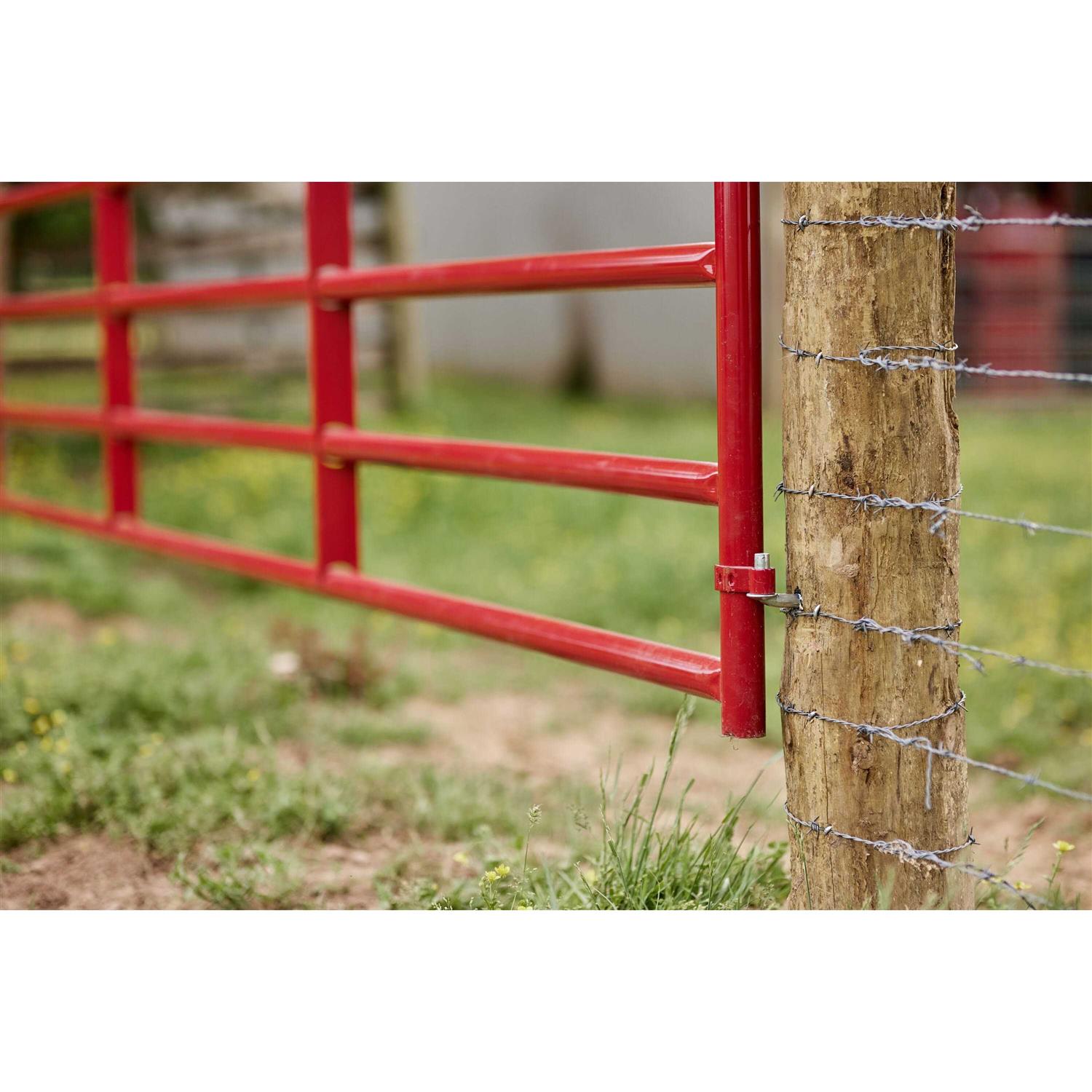 16 ft W Gate A263980
