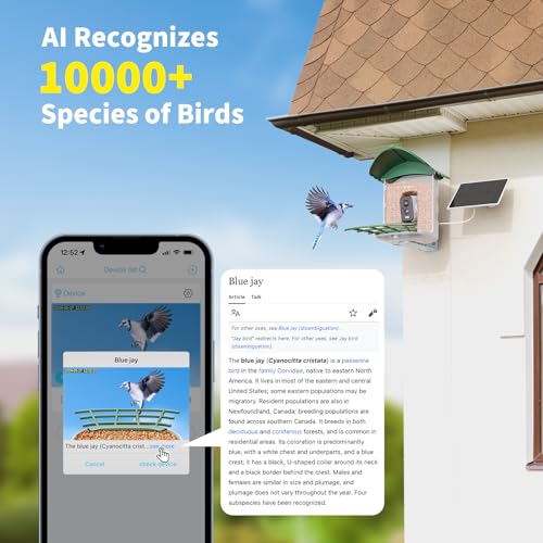 Bird Feeder with Camera, Solar Panel T974675