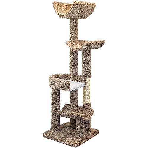Cat Climbing Tree X304681