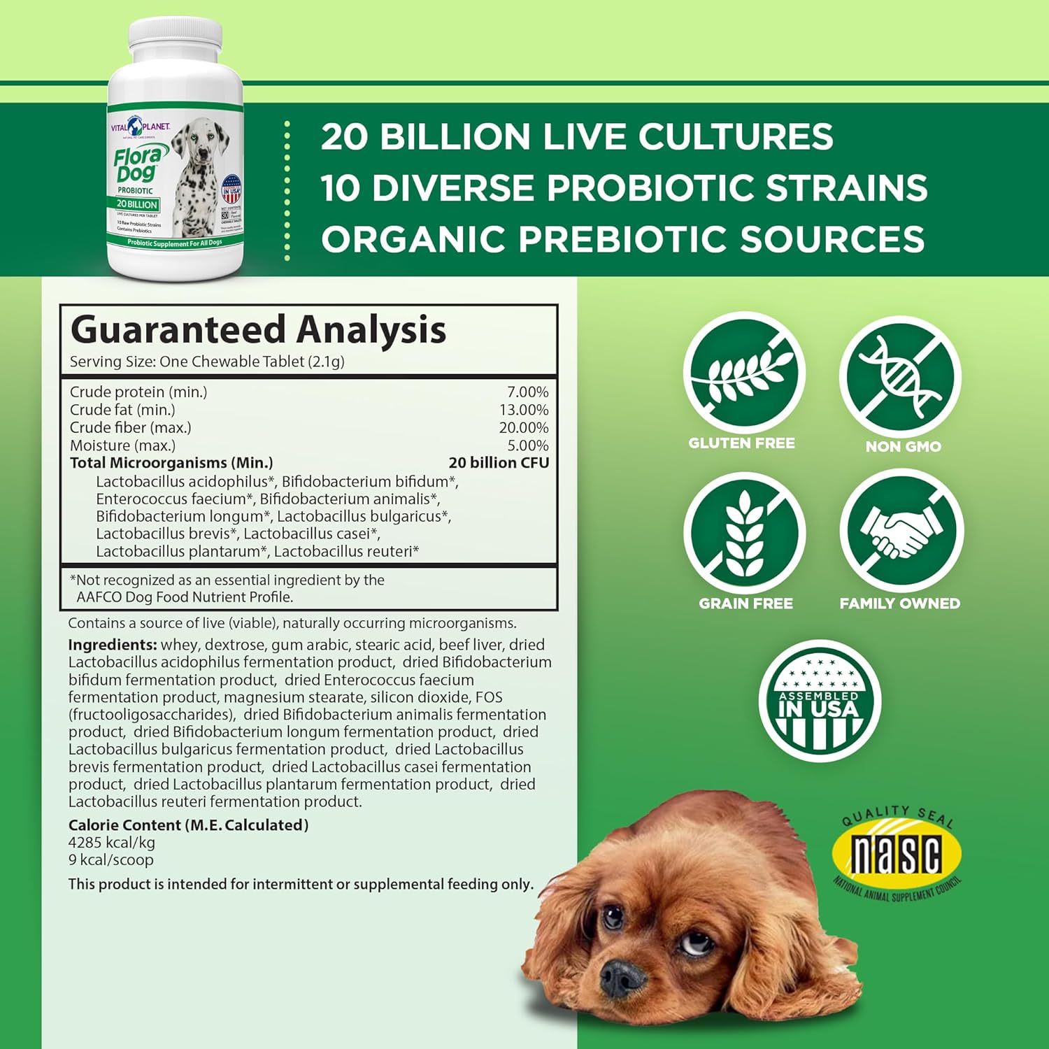 30 Beef Flavored Probiotic Chewable Tablets for Dogs F213