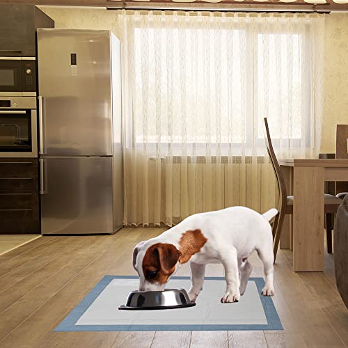 XXL Leak-Proof 30"x36" 40CT Dog Pee Pads N431