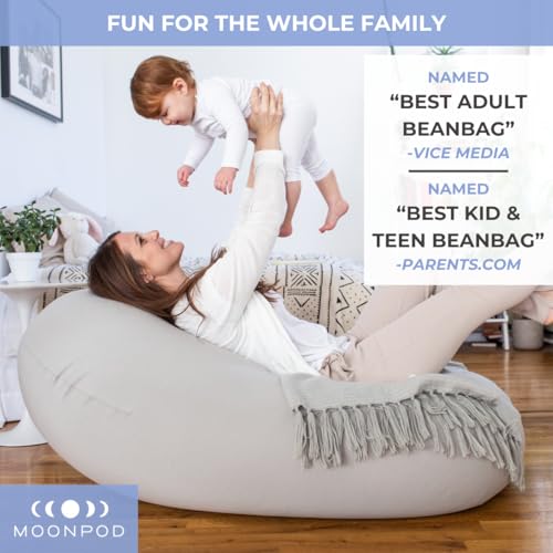 Large Light Gray Bean Bag Chair C7409