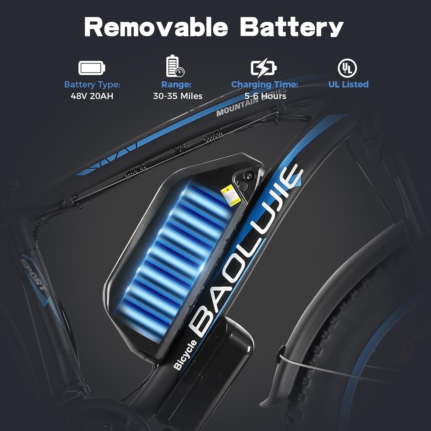 1000W Dual Motor 48V 20AH Battery 21 Speed Electric Bike L287