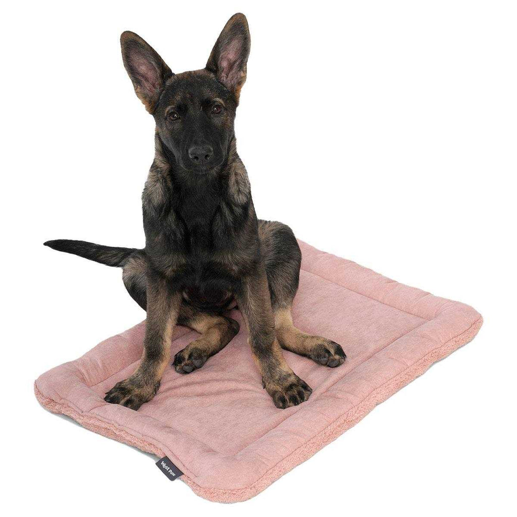 Big Sky Nap Pet Bed Y483006