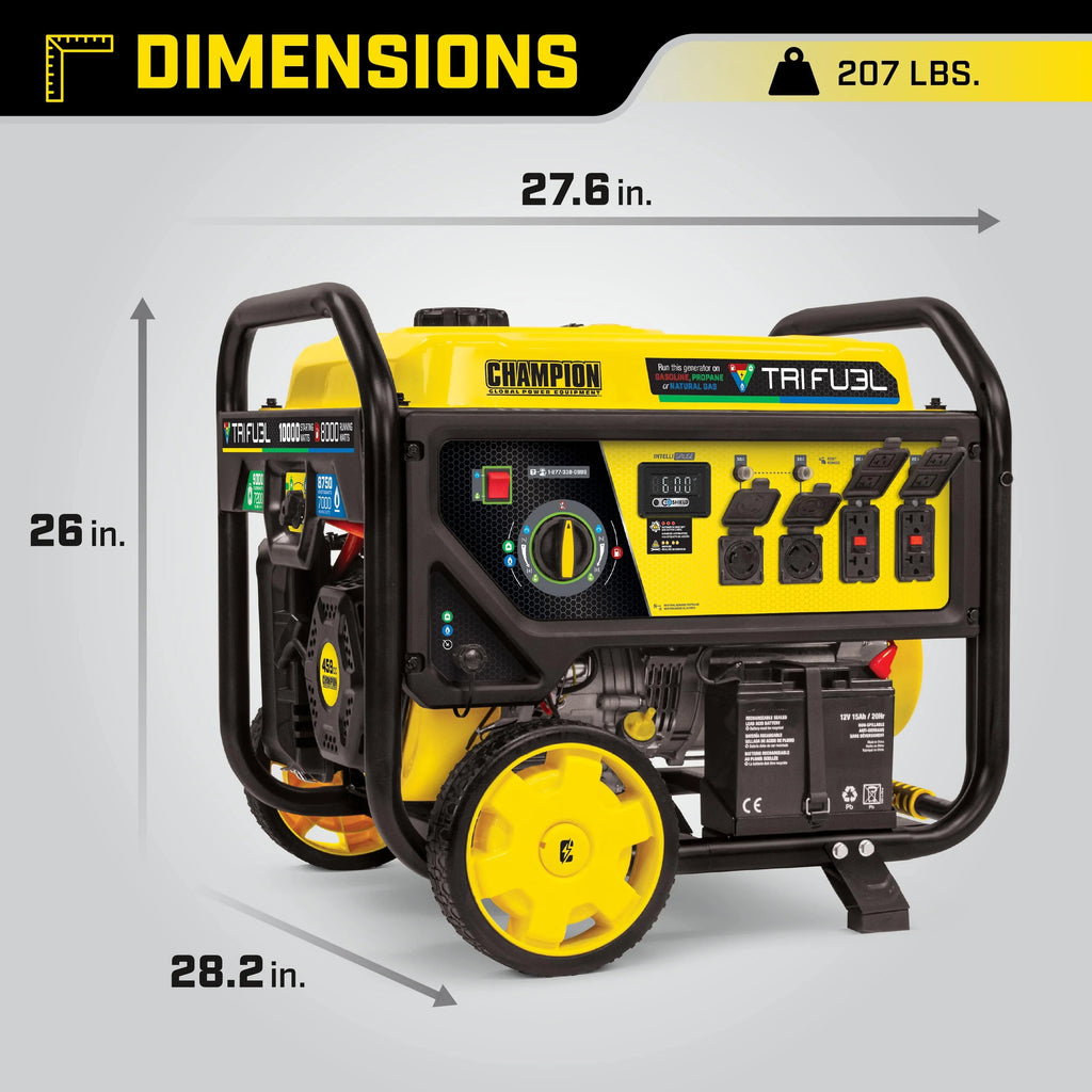 8000-Watts Tri-Fuel Portable Natural Gas Generator with Electric Start P436