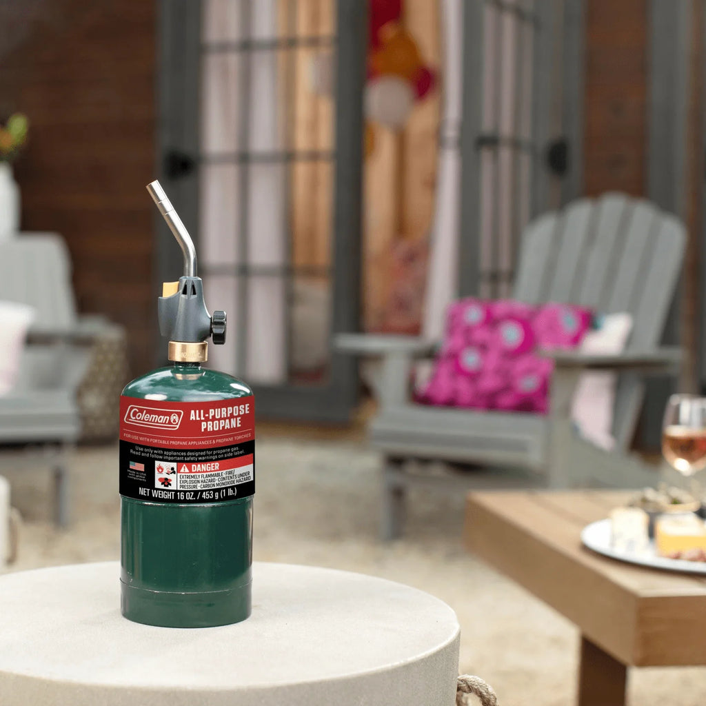 16 oz 4-Pack Propane Gas Cylinder S451595