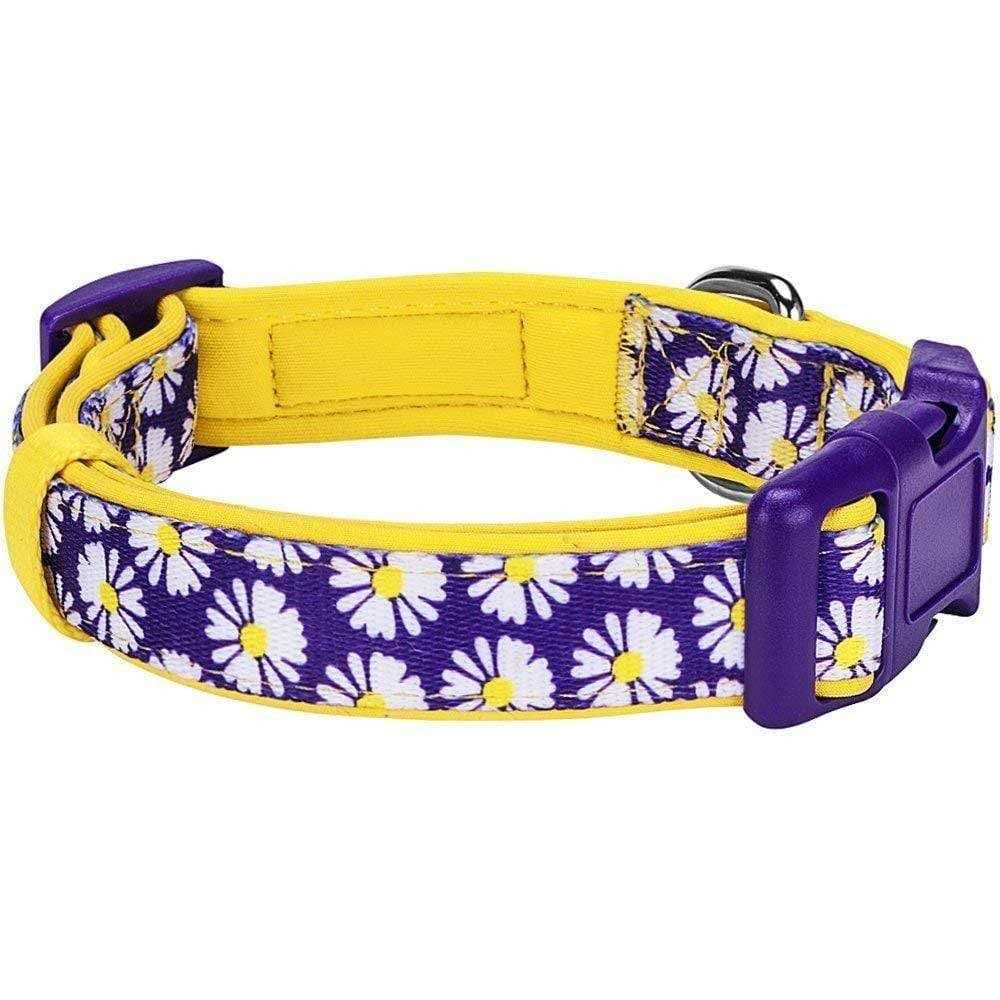 Blueberry Pet Dog Collar O1413