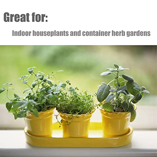 Organic Potting Soil Mix 1 qt U5969