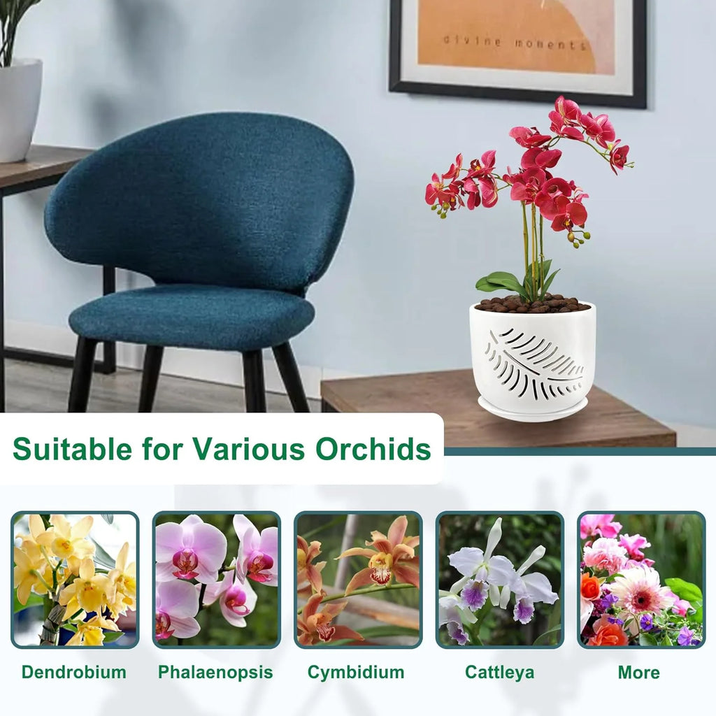 6+5 inch Ceramic Orchid Pots with Holes, 2 Pack K4081
