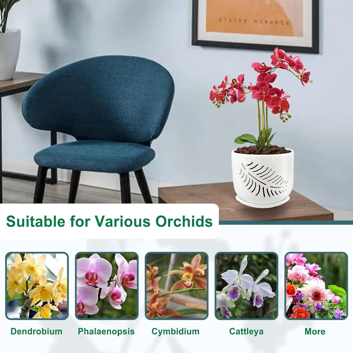 6+5 inch Ceramic Orchid Pots with Holes, 2 Pack K4081