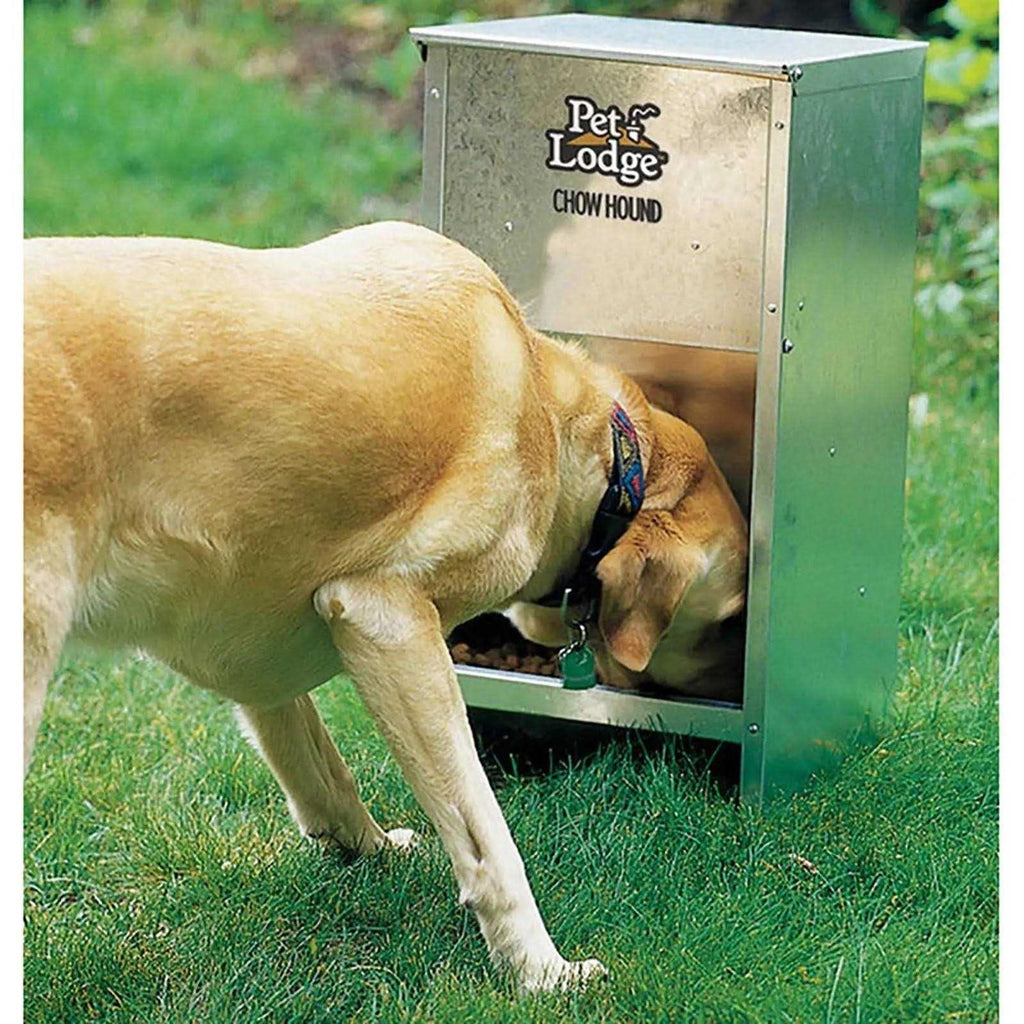 12 Pound Dog Feeder G212252