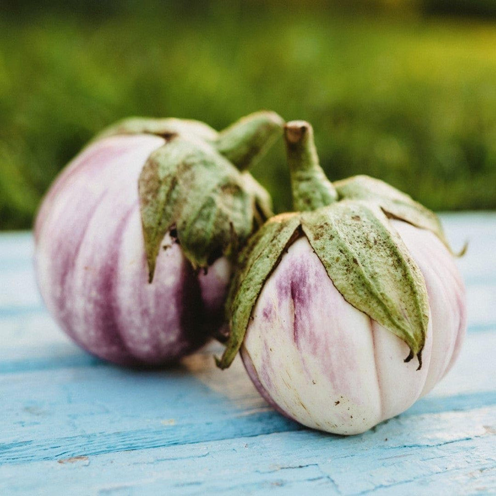 25 Seeds Italian Heirloom Eggplant L513387