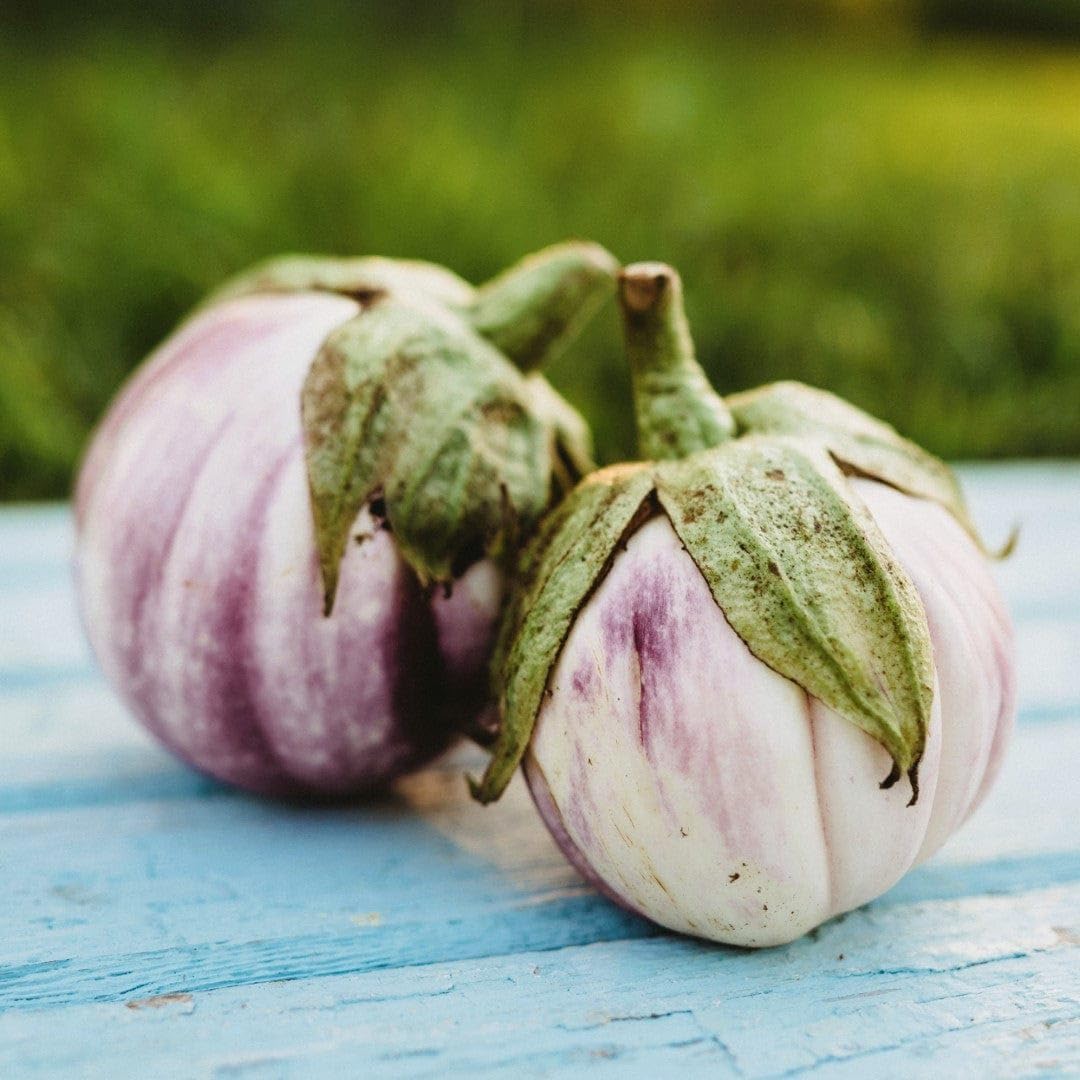 25 Seeds Italian Heirloom Eggplant L513387